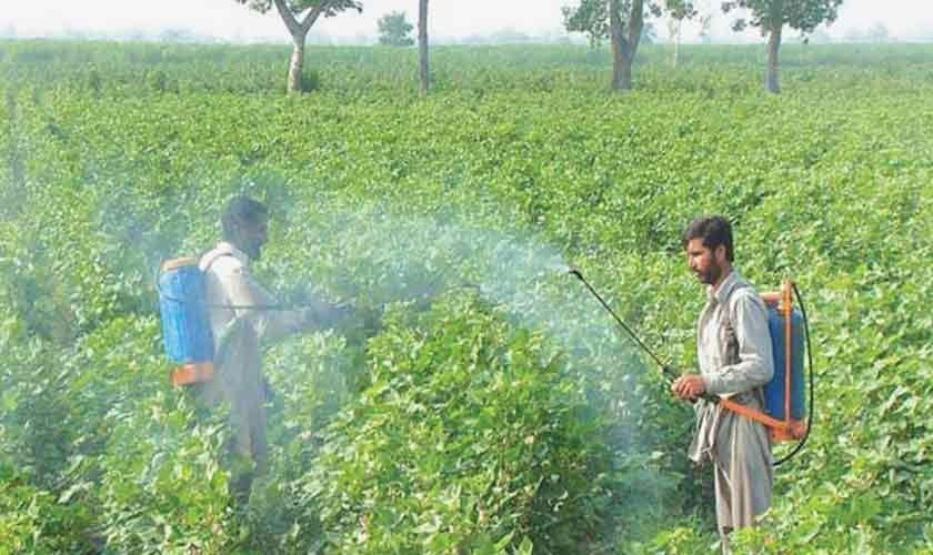 Pesticide concerns | Political Economy 1 Pesticide concerns | Political Economy