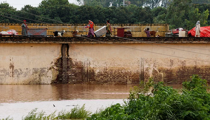 Punjab face 'exceptionally high risk' of flooding as India discharges water from dams