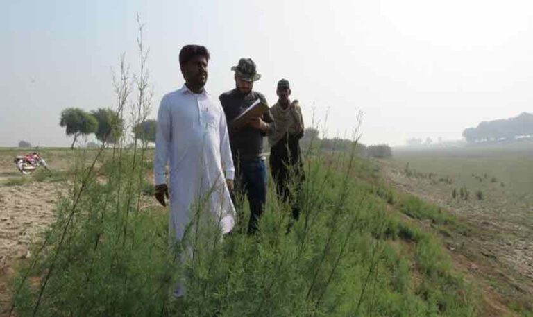 Reviving biodiversity | Political Economy