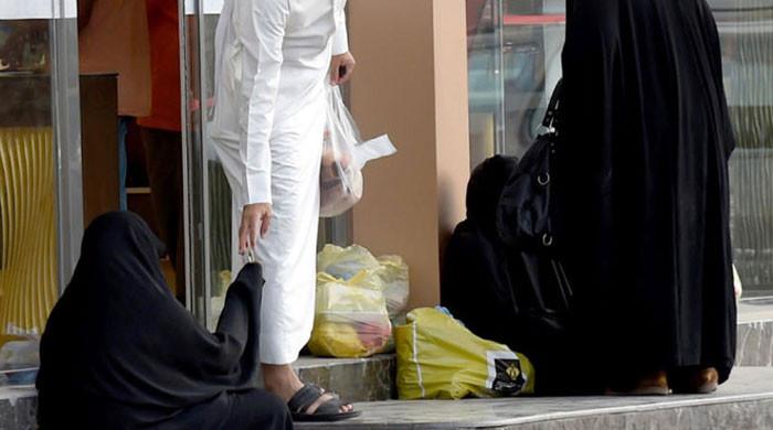 Senate bill proposes criminalising overseas 'organised beggary'