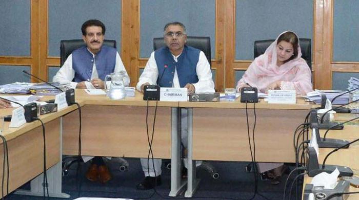 Senate body raps grant of key foreign-funded projects to non-performing firm