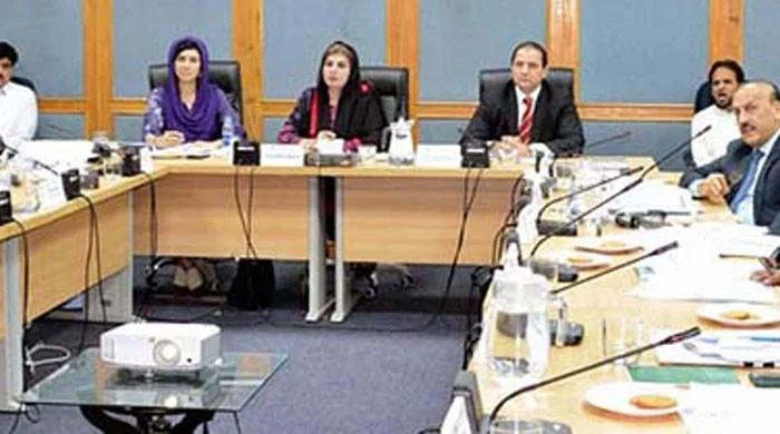 Senate panel concerned over coalmine workers’ plight 1 Senate panel concerned over coalmine workers’ plight