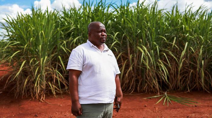 South Africa’s land reform rises from ‘the ashes of dispossession’ 1 South Africa’s land reform rises from ‘the ashes of dispossession’