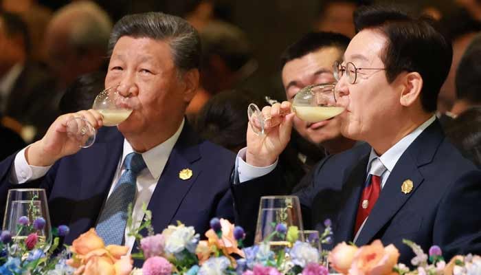 South Korea hosts Xi as Chinese leader rekindles fraught ties