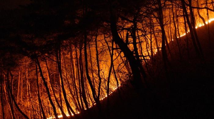 South Korea wildfires 'largest on record': disaster chief 1 South Korea wildfires 'largest on record': disaster chief