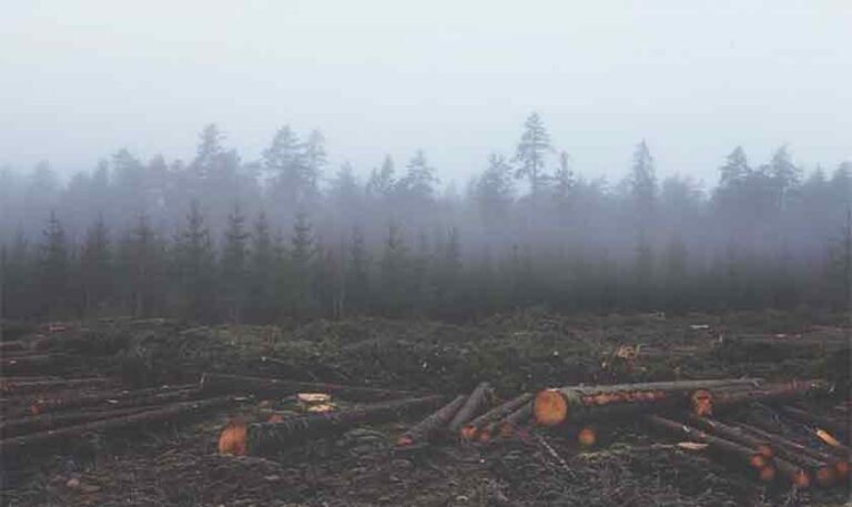 The disasters are here | Political Economy 4 The disasters are here | Political Economy