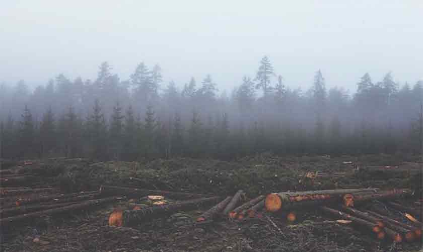 The disasters are here | Political Economy 1 The disasters are here | Political Economy