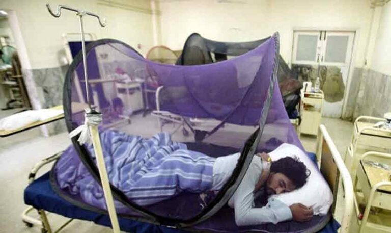 The dread of dengue | Political Economy