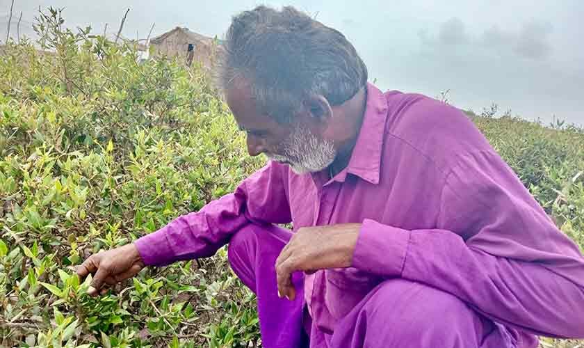 The sea has grown closer | Political Economy