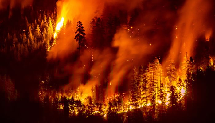 Thousands battle Greece fires as heatwave bakes Europe