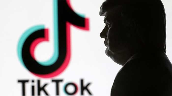 TikTok restoring service in US, thanks Trump for 'clarity'