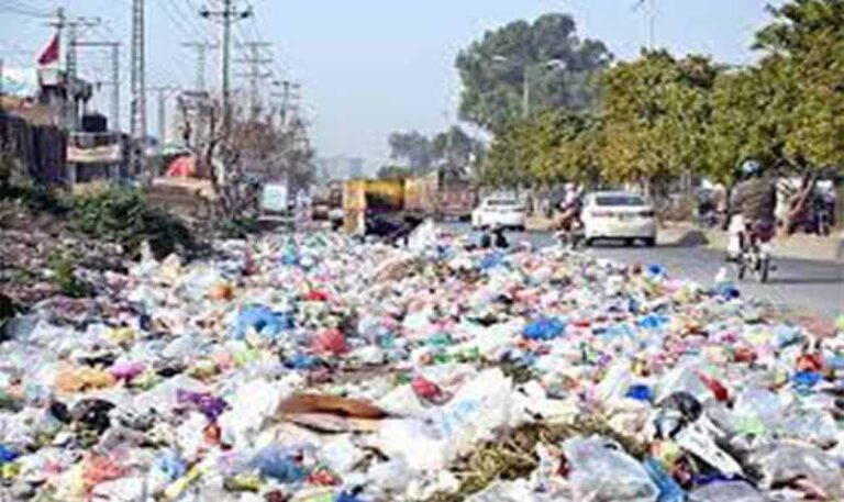 Turning waste into wealth | Political Economy