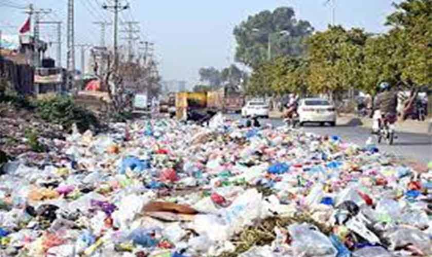 Turning waste into wealth | Political Economy 1 Turning waste into wealth | Political Economy