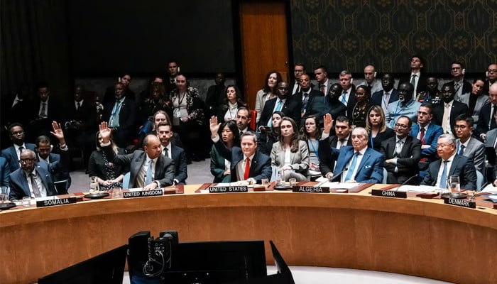 UN Security Council votes for international force for Gaza