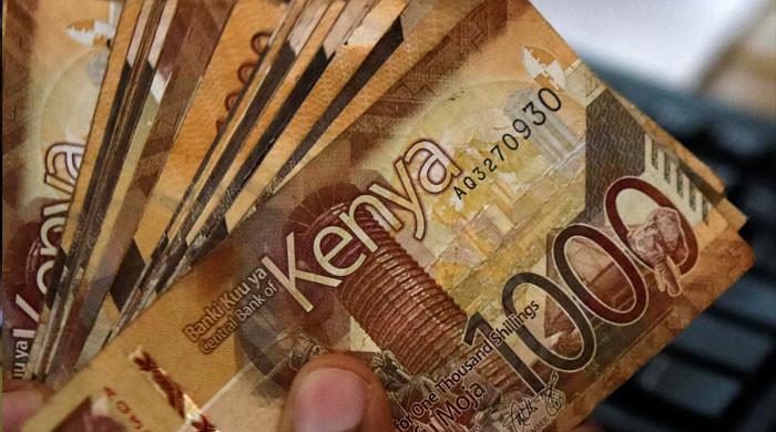 Under shadow of Trump warning, Africa pioneers non-dollar payments systems