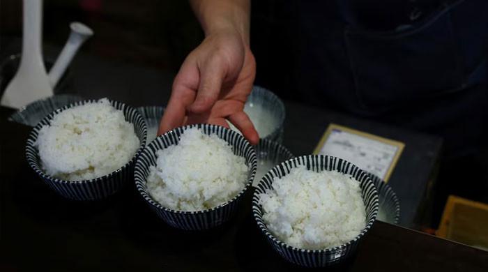 What’s behind the surge in Japan’s rice prices?