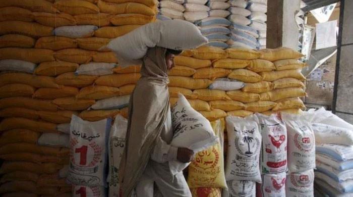 Why wheat flour fortification matters