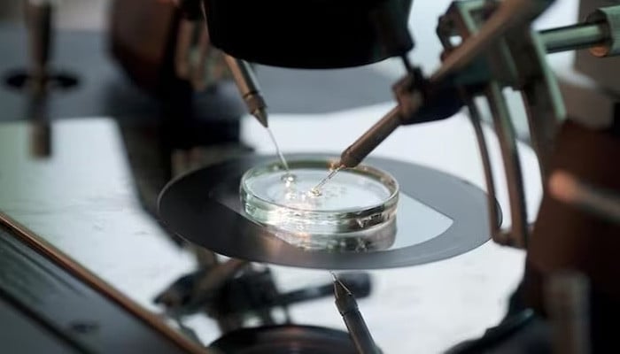 World-first IVF trial reduces risk of babies inheriting diseases 1 World-first IVF trial reduces risk of babies inheriting diseases